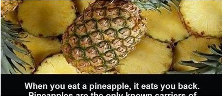 Pineapple enzymes eat you